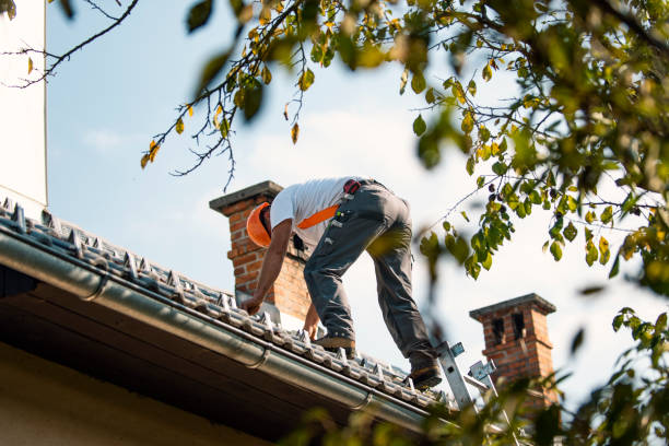 Best Storm Damage Roof Repair  in USA